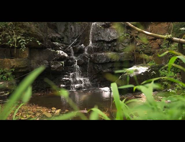 M² LODGE FOR SALE IN NGODWANA